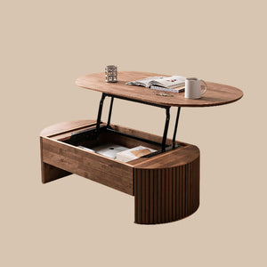 46.8'' Oval Lift Top Coffee Table Medium Size Wooden Finish Hidden Storage Elegant Design